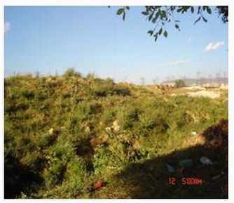 機(jī)床尾座體、中心架、跟刀架等銷售項(xiàng)目