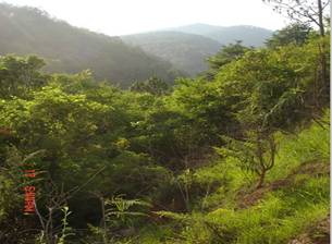 年產3500萬塊新型節(jié)能頁巖磚建設項目